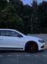 Volkswagen Scirocco 2.0 TSI Highl. Plus Wit - thumbnail 7