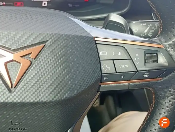 Cupra Formentor 1.5 TSI 2024, foto 16
