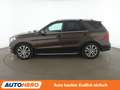Mercedes-Benz GLE 350 GLE 350 d 4Matic Aut. *LED*360°*SHZ*NAVI* Braun - thumbnail 3