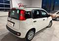 Fiat Panda 1.3 MJTD S&S 75cv-2013 Blanc - thumbnail 4