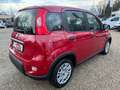 Fiat Panda 1.0 GSE 51kW Mild-Hybrid *City Paket* Rot - thumbnail 3