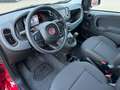 Fiat Panda 1.0 GSE 51kW Mild-Hybrid *City Paket* Rot - thumbnail 7
