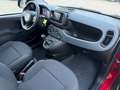 Fiat Panda 1.0 GSE 51kW Mild-Hybrid *City Paket* Rot - thumbnail 9