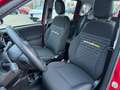 Fiat Panda 1.0 GSE 51kW Mild-Hybrid *City Paket* Rot - thumbnail 10