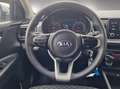 Kia Rio Neon 1.2 DPI P Grau - thumbnail 8