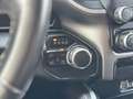 Dodge RAM 5.7 V8 HEMI RedDevil Offroad 4x4 HARDTOP 19% Rot - thumbnail 27