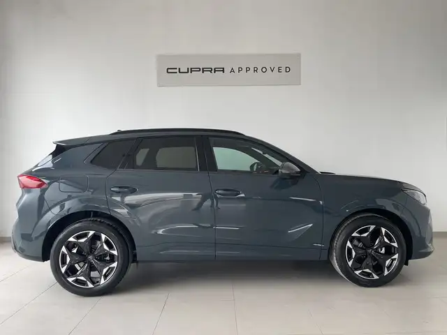 Cupra Terramar view 3