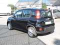 Fiat Panda 1.0 FireFly S&S Hybrid Nero - thumbnail 6