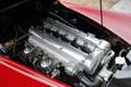Jaguar XK XK120 OTS PRICE REDUCTION! Alloy Roadster One of 1 Rouge - thumbnail 4