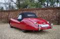 Jaguar XK XK120 Alloy Roadster One of 184 LHD Alloy built, C Rouge - thumbnail 8