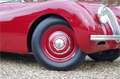 Jaguar XK XK120 Alloy Roadster One of 184 LHD Alloy built, C Rouge - thumbnail 42
