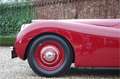Jaguar XK XK120 Alloy Roadster One of 184 LHD Alloy built, C Rouge - thumbnail 28