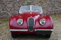 Jaguar XK XK120 Alloy Roadster One of 184 LHD Alloy built, C Rouge - thumbnail 5