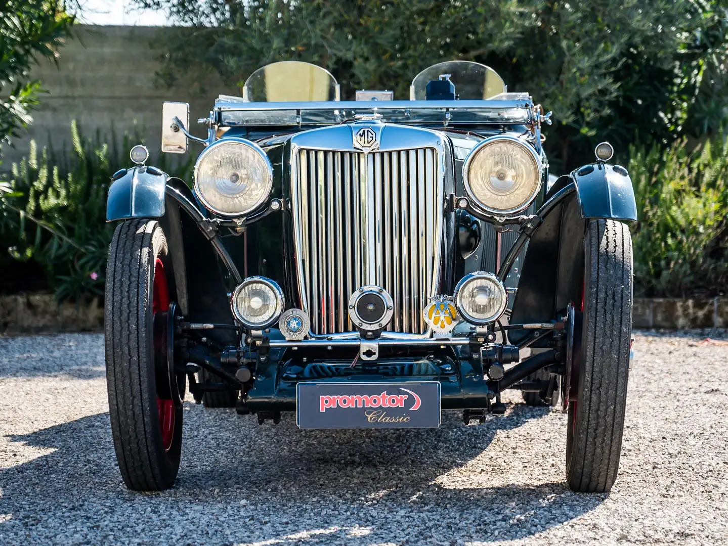 MG TA Midget Verde - 2