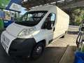 Fiat Ducato EXPORT GÜLTIGES PICKERL - thumbnail 3