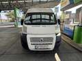 Fiat Ducato EXPORT GÜLTIGES PICKERL - thumbnail 2