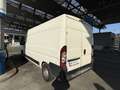Fiat Ducato EXPORT GÜLTIGES PICKERL - thumbnail 4