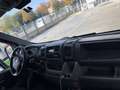 Fiat Ducato EXPORT GÜLTIGES PICKERL - thumbnail 6