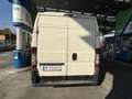 Fiat Ducato EXPORT GÜLTIGES PICKERL - thumbnail 5