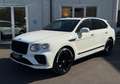 Bentley Bentayga 4.0 V8 auto iva deducibile ultimo service 07/2025 Blanc - thumbnail 1
