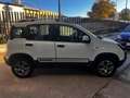 Fiat Panda Cross 1.3 MJT 95 CV S&S 4x4 Blanco - thumbnail 5