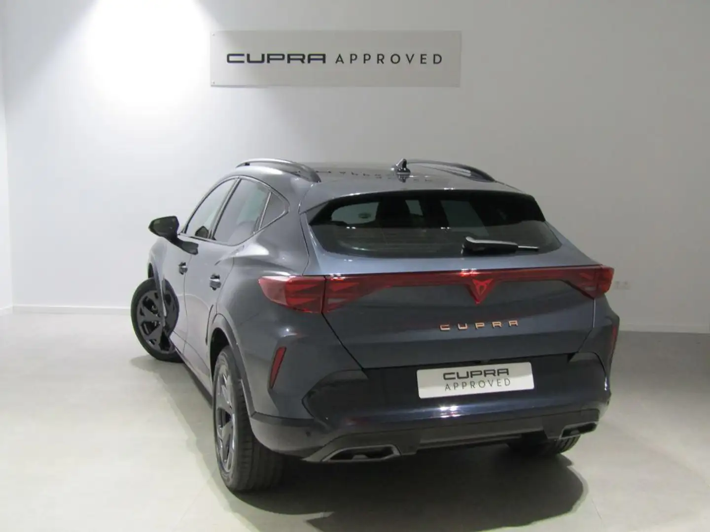 CUPRA Formentor 2.0 TDI 150 DSG Gris - 2