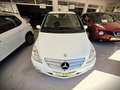 Mercedes-Benz B 180 180CDI Autotronic Blanco - thumbnail 12
