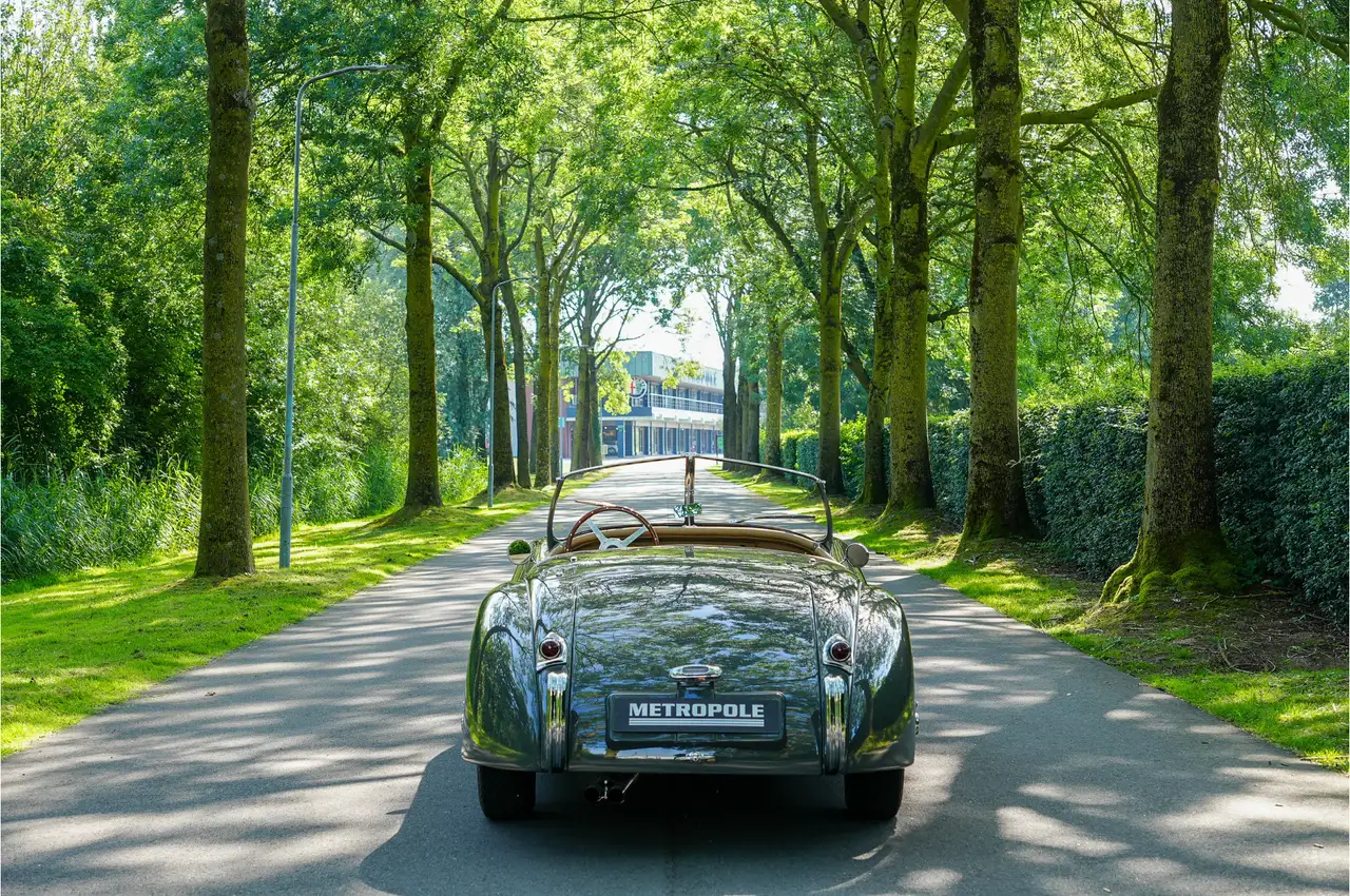 Jaguar XK120 OTS M1213, foto 7
