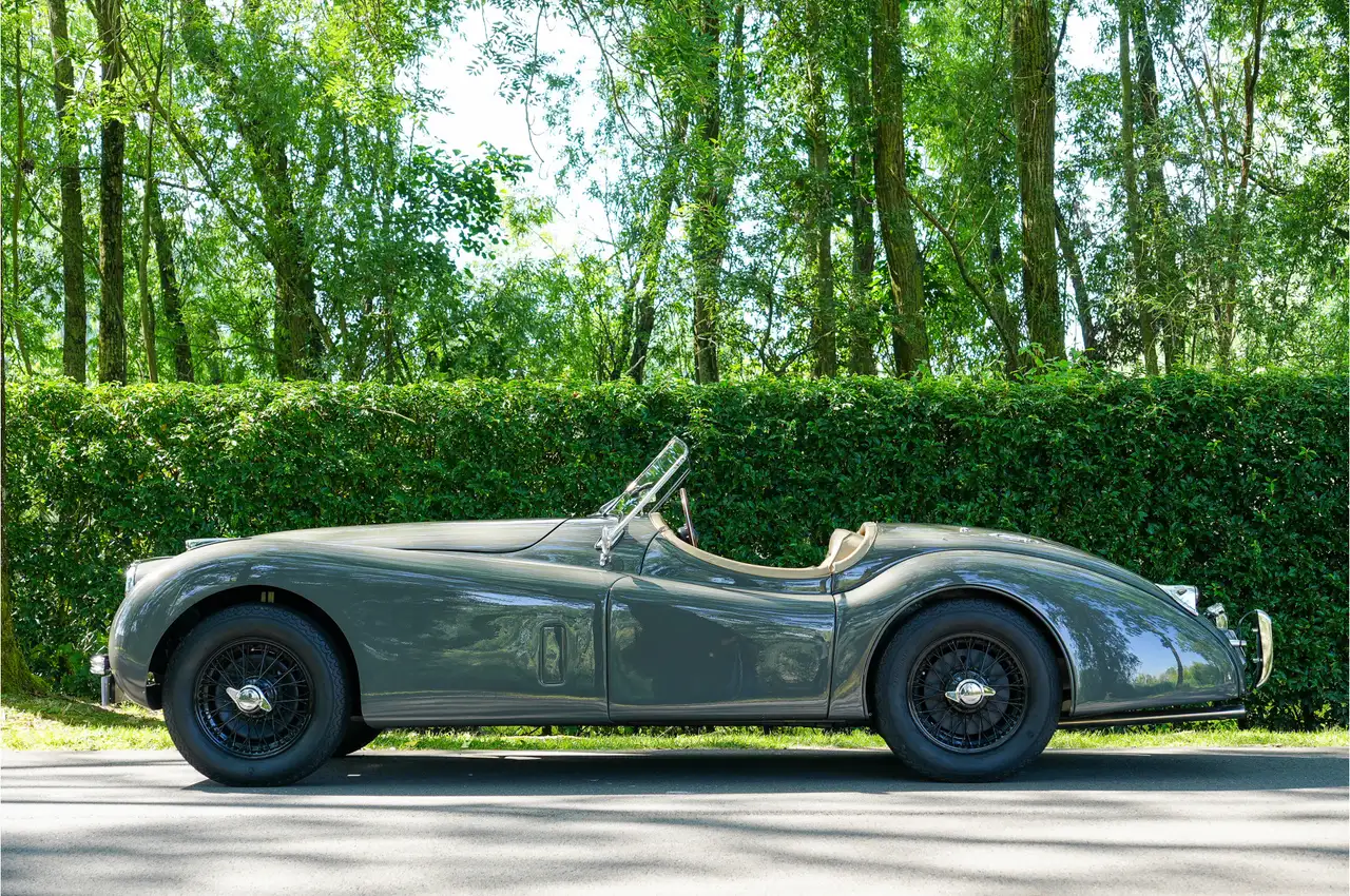 Jaguar XK120 OTS M1213, foto 3