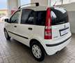 Fiat Panda 2ª serie 1.2 Dynamic 69 CV NEOPATENTATO Bianco - thumbnail 6