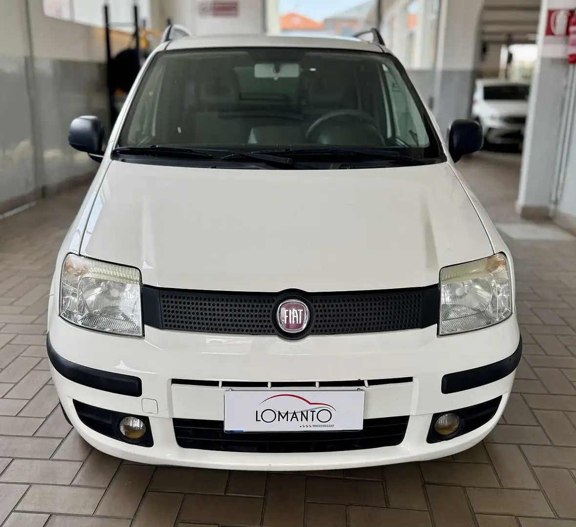 Fiat Panda 2ª serie 1.2 Dynamic 69 CV NEOPATENTATO Bianco - 2