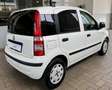 Fiat Panda 2ª serie 1.2 Dynamic 69 CV NEOPATENTATO Bianco - thumbnail 4