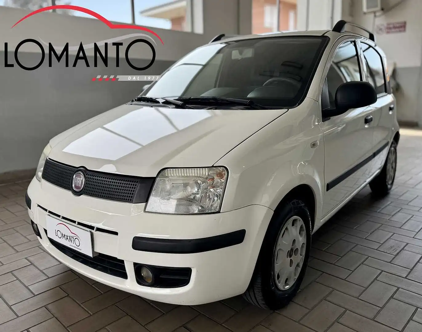 Fiat Panda 2ª serie 1.2 Dynamic 69 CV NEOPATENTATO Bianco - 1