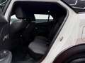 Peugeot 2008 1.2 BlueHDI S&S Allure EAT8 130 Blanco - thumbnail 37