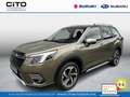 Subaru Forester 2.0i e-BOXER Premium CVT AWD | Trekhaak | Panorama - thumbnail 1