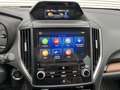 Subaru Forester 2.0i e-BOXER Premium CVT AWD | Trekhaak | Panorama - thumbnail 13