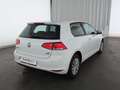 Volkswagen Golf Golf VII 1.2 TSI Trendline BMT KLIMA+SITZHEIZUNG White - thumbnail 6