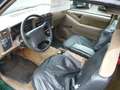 Chevrolet S-10 Ext.Cab Sportside, Rarität: V6 mit 5 Gang Verde - thumbnail 9
