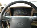 Chevrolet S-10 Ext.Cab Sportside, Rarität: V6 mit 5 Gang Green - thumbnail 10