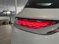DS Automobiles DS 7 Crossback 1.6 Turbo 225pk Automaat So Chic Opera Panorama Da Wit - thumbnail 24