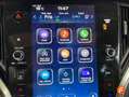 Subaru OUTBACK 2.5i Executive Lineartronic Gris - thumbnail 21