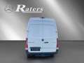 Mercedes-Benz Sprinter 317 CDI Kasten Blanc - thumbnail 2