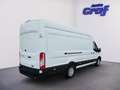 Ford Transit Kasten 2,0 EcoBlue L4H3 350 Trend Weiß - thumbnail 4