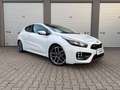 Kia Ceed / cee'd Ceed GT-Track+Xenon+DAB+Pano+erst 24 TKM, TOP!!! Wit - thumbnail 4