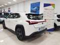 Lexus UX 250h Business City 2WD Blanc - thumbnail 3