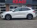 Ford Kuga ST-Line X 2.5 PHEV 224 pk - LED - Afn. trekhaak - Weiß - thumbnail 3
