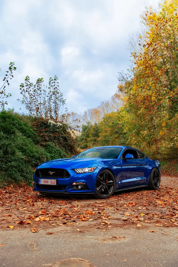 Ford Mustang 2.3 Eco Boost Blauw - 1