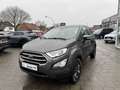Ford EcoSport 1.0 EcoBoost Cool & Connect Winterpaket Gris - thumbnail 2