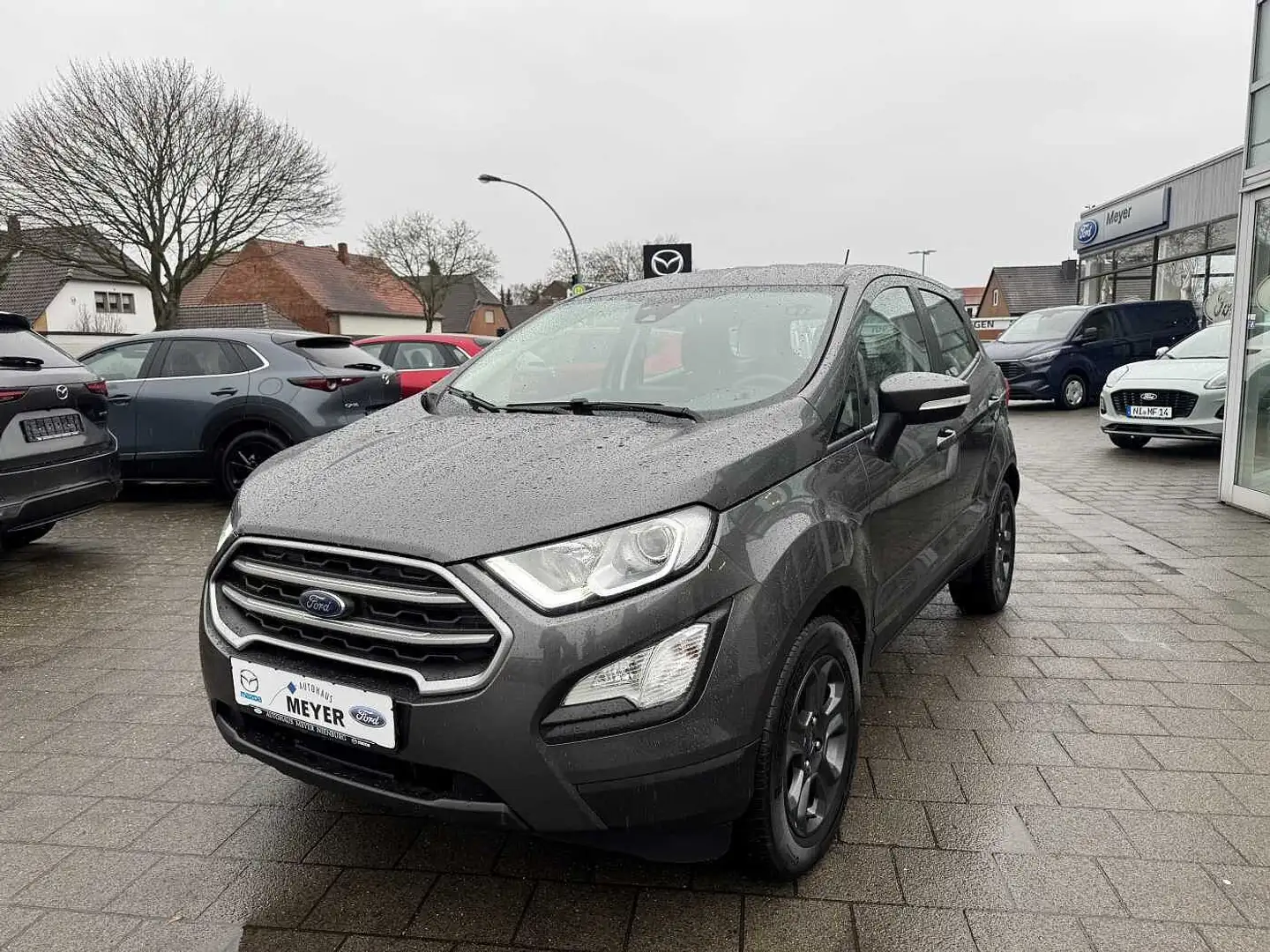 Ford EcoSport 1.0 EcoBoost Cool & Connect Winterpaket Gris - 2