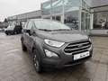 Ford EcoSport 1.0 EcoBoost Cool & Connect Winterpaket Gris - thumbnail 1